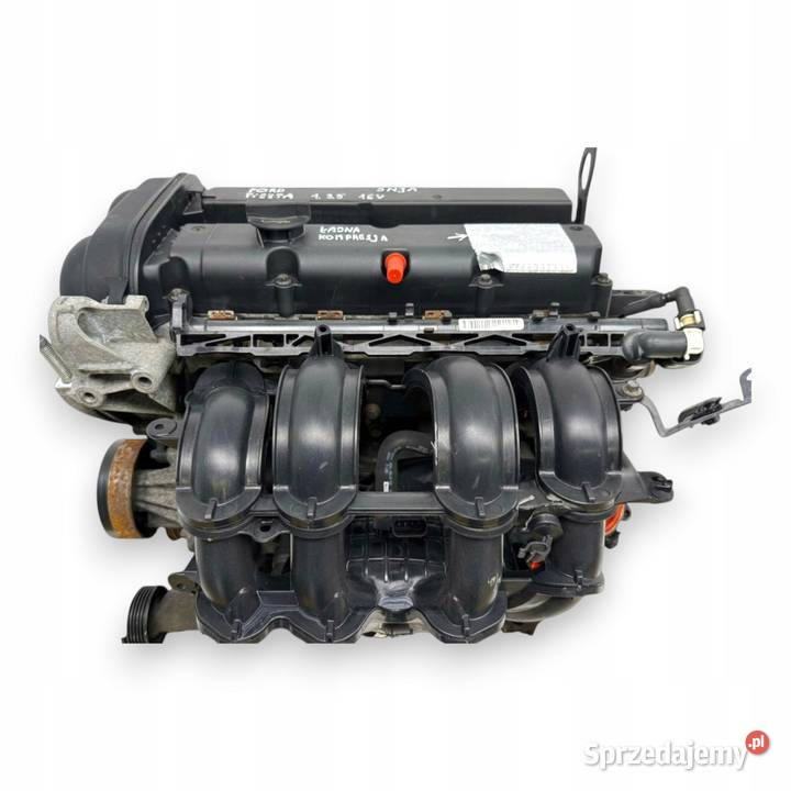 SILNIK SNJA Ford Fiesta VII MK7 125 82 benzyna osobowe Chełm