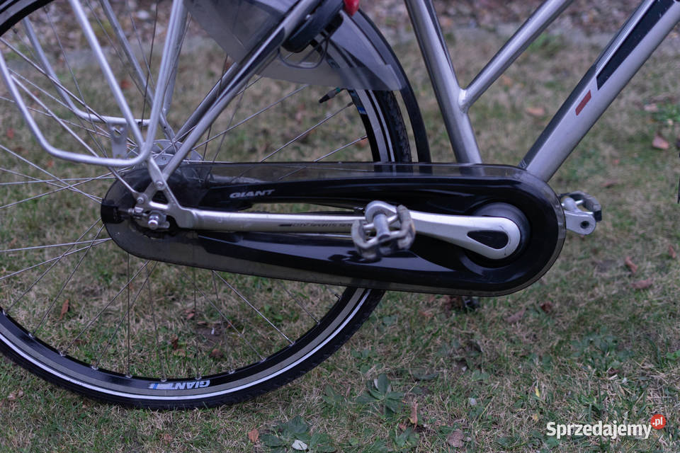 Giant Futuro CS rower 28 M Shiamno 8 biegow Miejskie Kluczbork