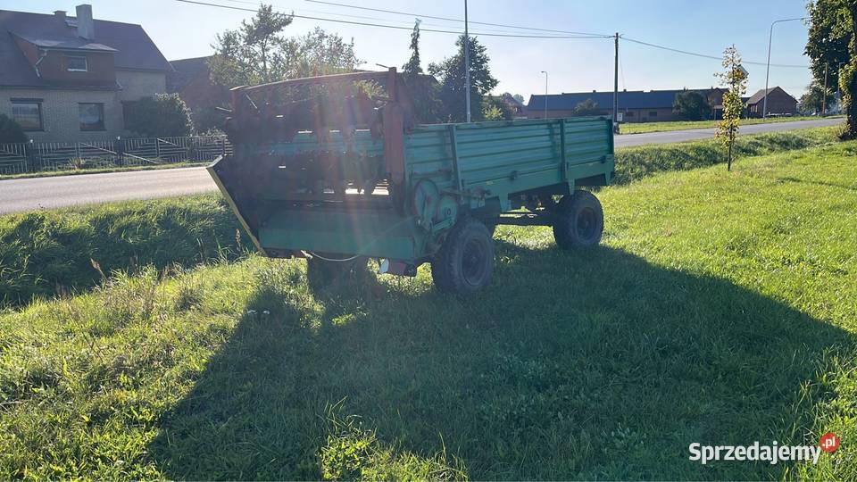 Rozrzutnik obonika Agromasz