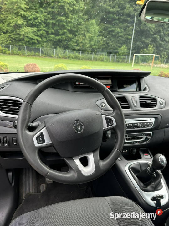 Renault Scenic III 20092016 lakier metallic Lipówki