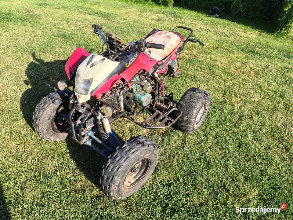 Bashan 200cc ciecz Jabłonna