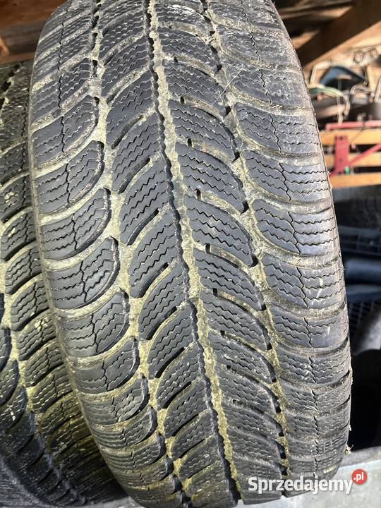 Dębica Frigo 2 205 55 16 205 Brzana