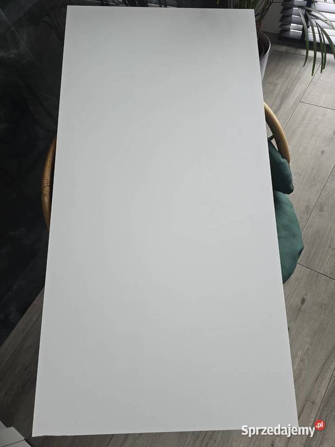 PŁYTKA BIAŁA MAT 60x120 GAT TEST TUBĄDZIN Opoczno sprzedam