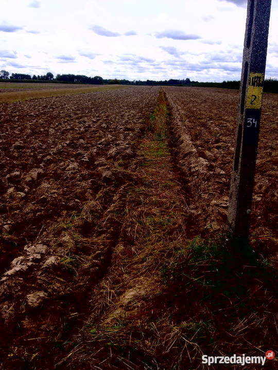 działka budowlanarolna gmina CHYNÓW mazowieckie Budziszynek