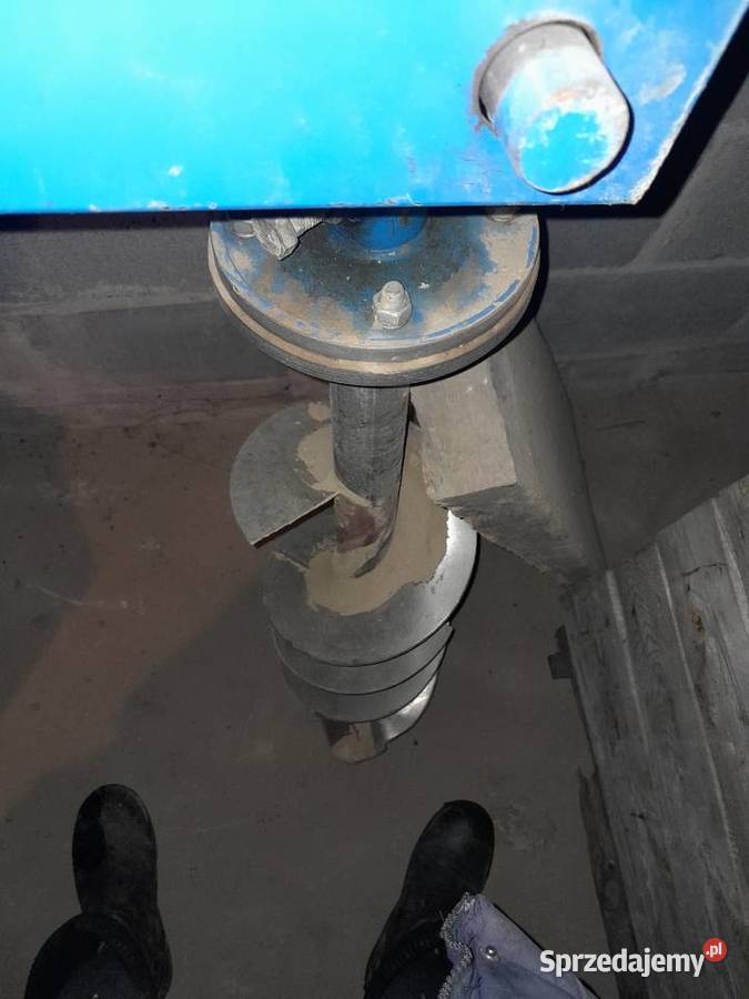 Swider sadowniczy Sadkowice