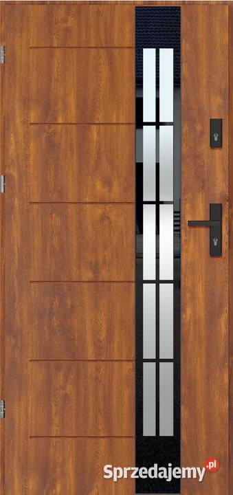 Drzwi zewnętrzne THERMO TEMPER GLASS 4 śląskie Częstochowa