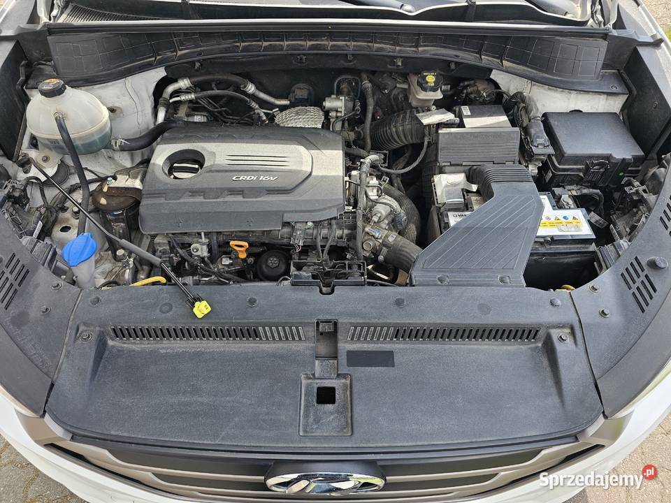 Hyundai Tucson 17 CRDI BlueDrive Comfort 2WD Bolechowo-Osiedle