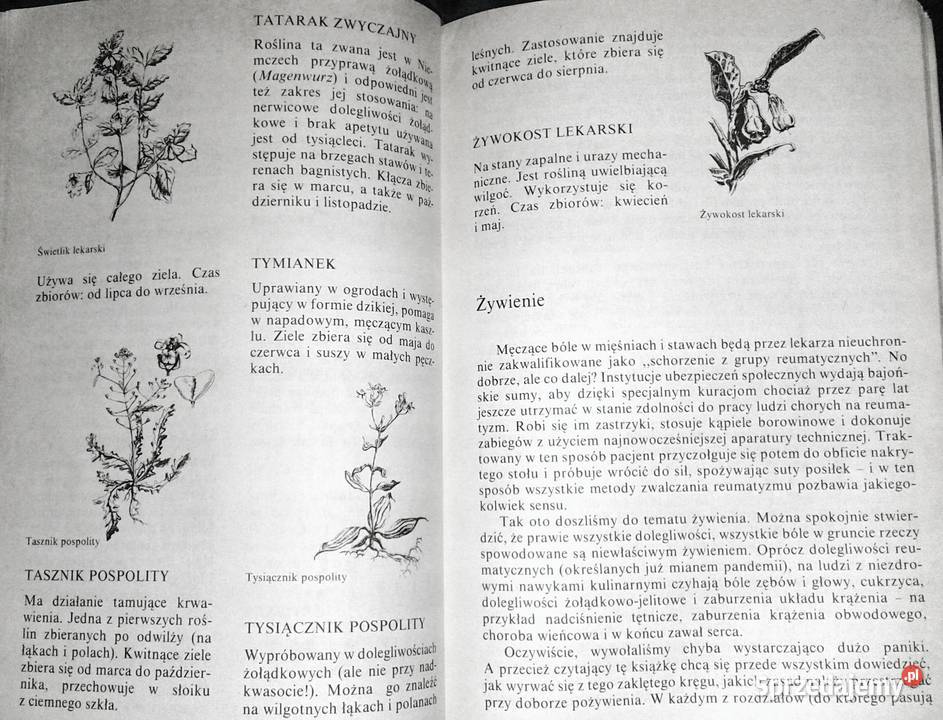Naturalne metody lecznicze Wolfgang Exel Willi Pozostałe
