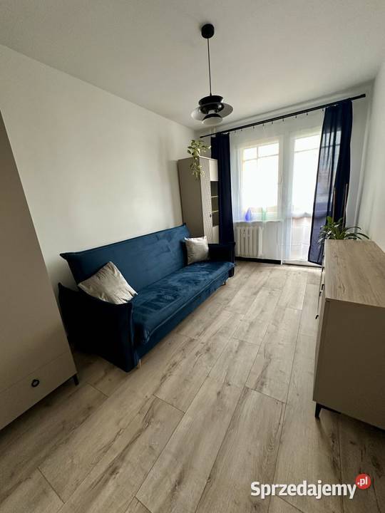 3 pokoje wolne zaraz Gdańsk Zaspa