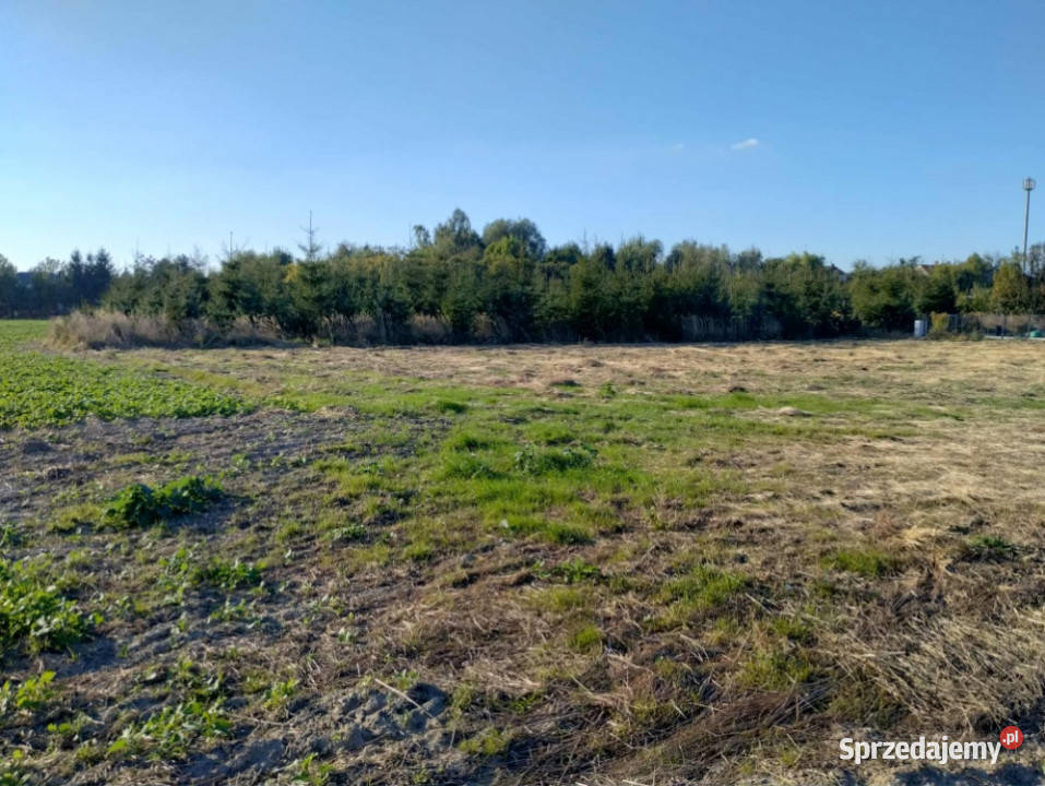 Sprzedam atrakcyjną działkę budowlaną Szczedrzykowice