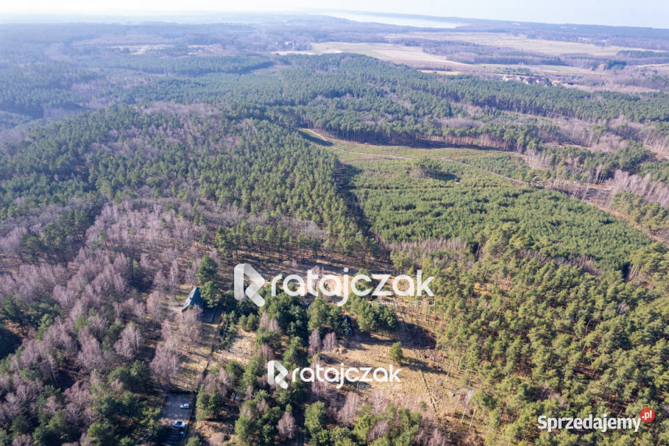 Grunt na sprzedaż 9751m2 Sasino Stara Cegielnia kanalizacja