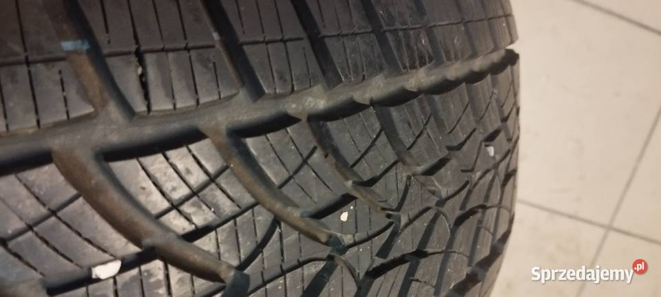 Opony zimowe Dębica 2156017 17cale Bielsko-Biała