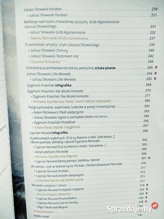 Sztuka wyrazu 21 polski nowe podręczniki szkolne Antykwariat mazowieckie Warszawa