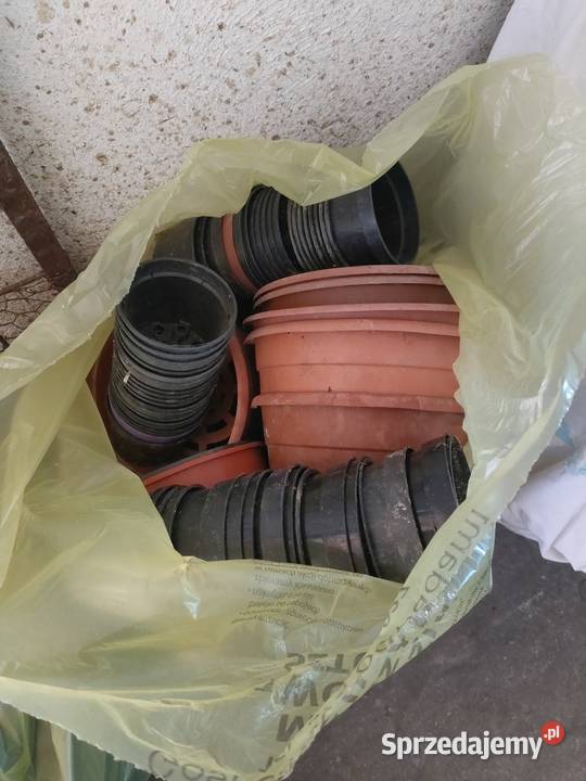 Doniczki do produkcji rozsady Żabiec