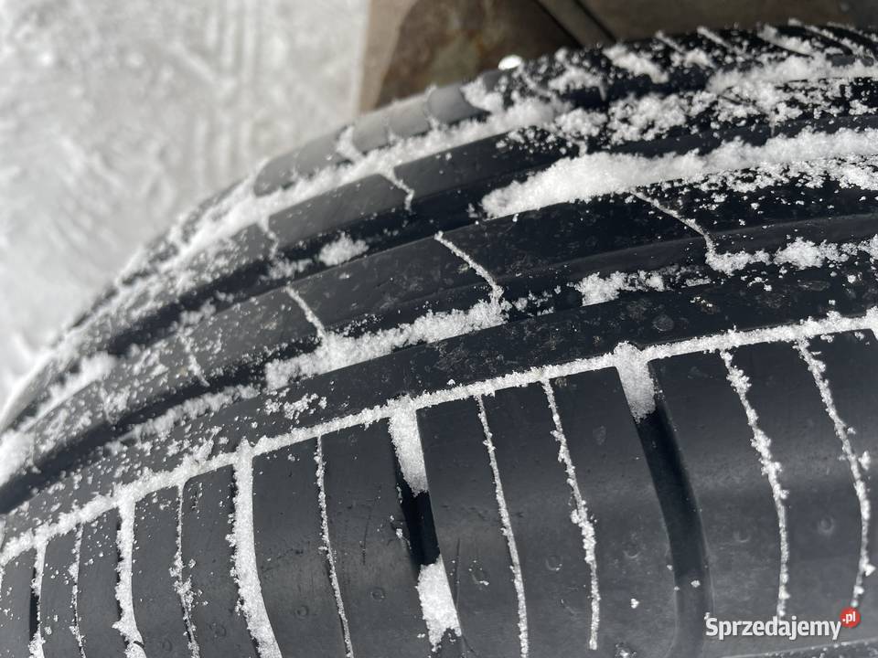 Rzyczepa 1200 Kilo Suwałki