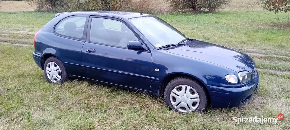 Toyota Corolla 14 Gorzów Wielkopolski
