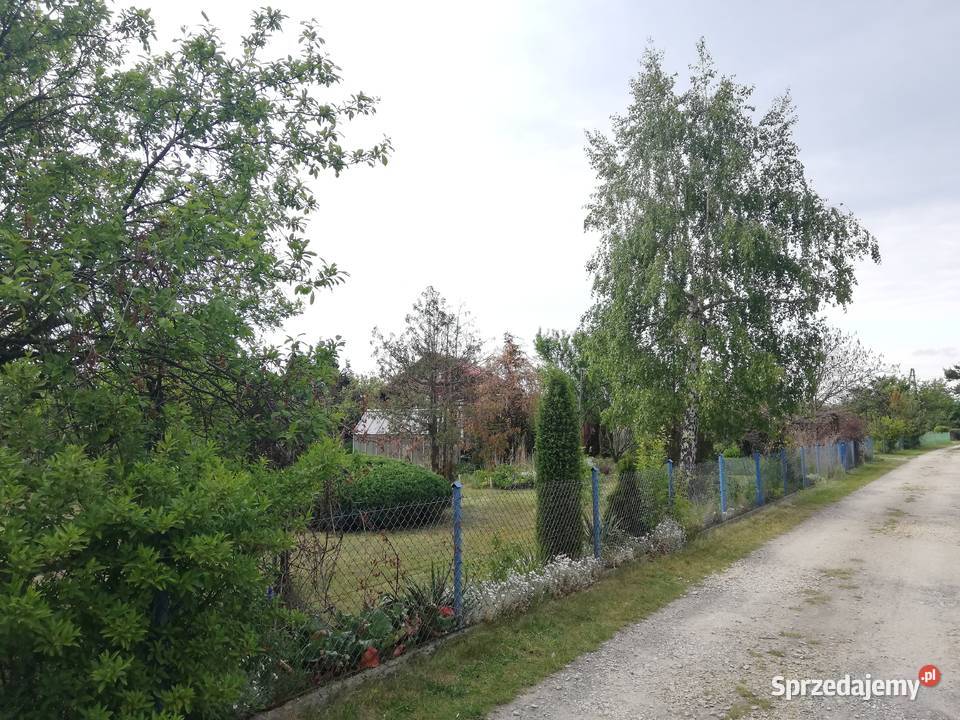 Działka ROD Kopciuszek Sprzedaż opolskie Opole