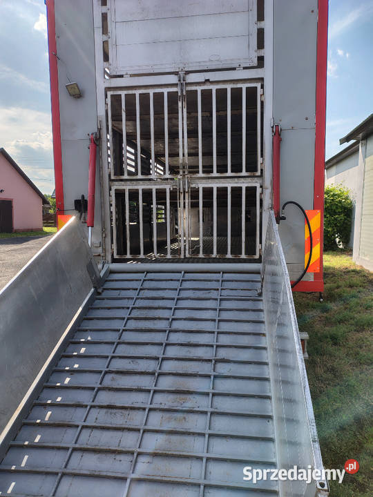 iveco stralis do żywca do zabudowy Ostrożanka