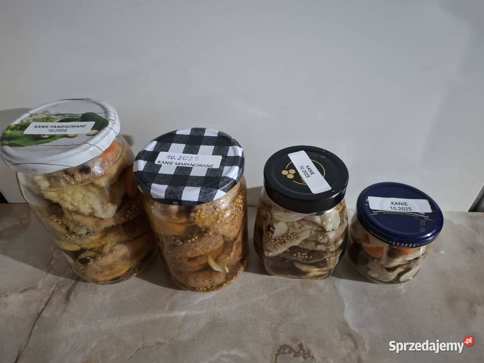 Rydze opieńki kanie gąsówki fioletowawe śląskie Czyżowice