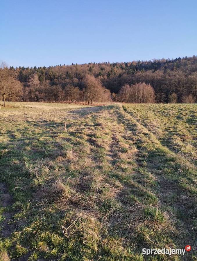 Działka w Babicy Babica