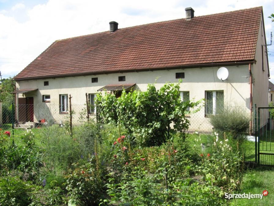 Smogorzów Wielki gmina Wińsko powiat Wołów Smogorzów Wielki sprzedam