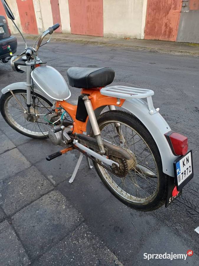 Komar zarejestrowany Kożuchów