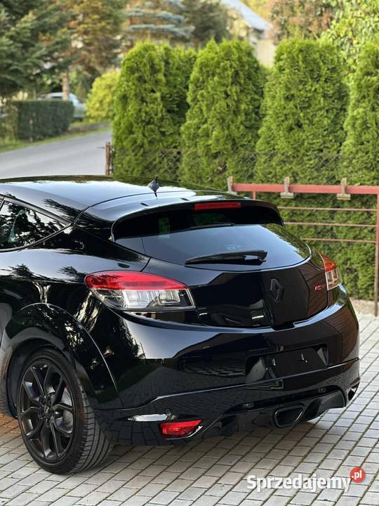 Renault Megane 3 RS CUP ph3 2015 Hyżne