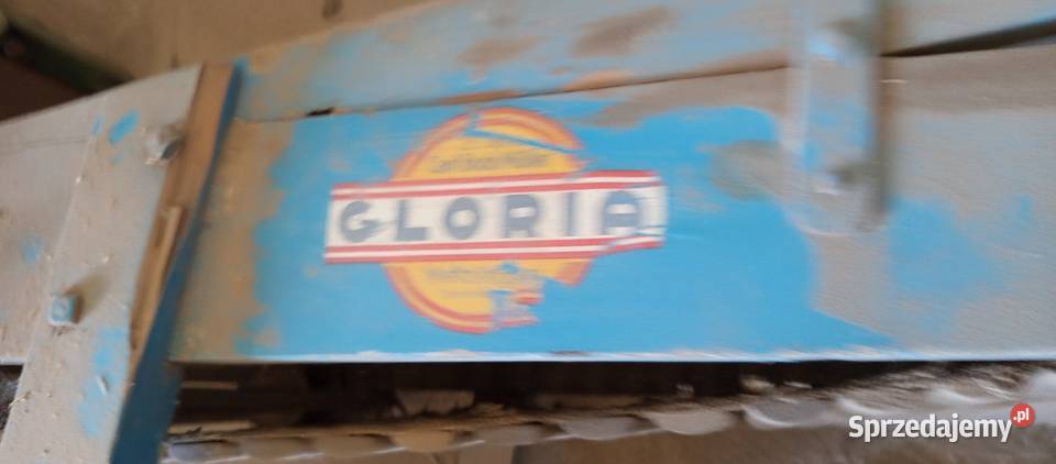 Sortownik do ziemniaków Gloria nieuszkodzony Przespolew Kościelny