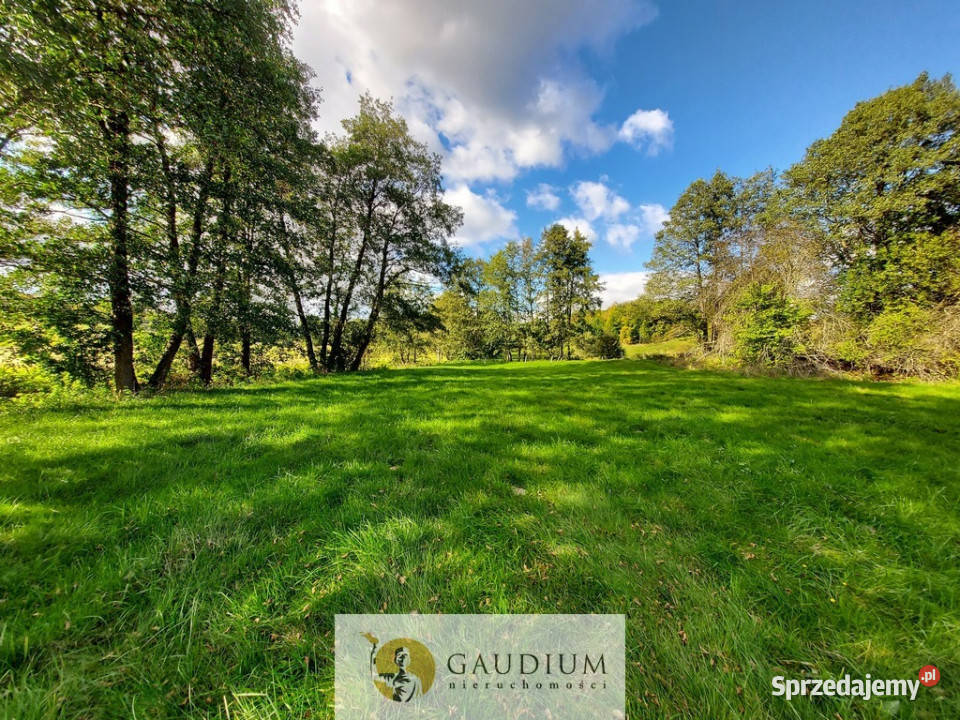 Enklawa pośród pól 1ha piękna i ciszy Kobysewo
