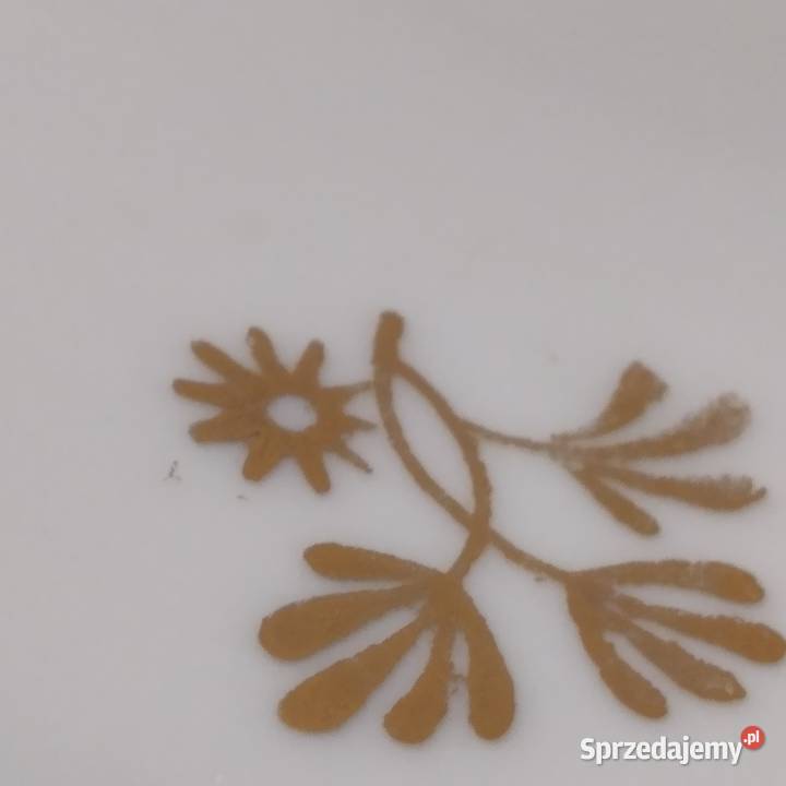 porcelana Chodzież Bukowno