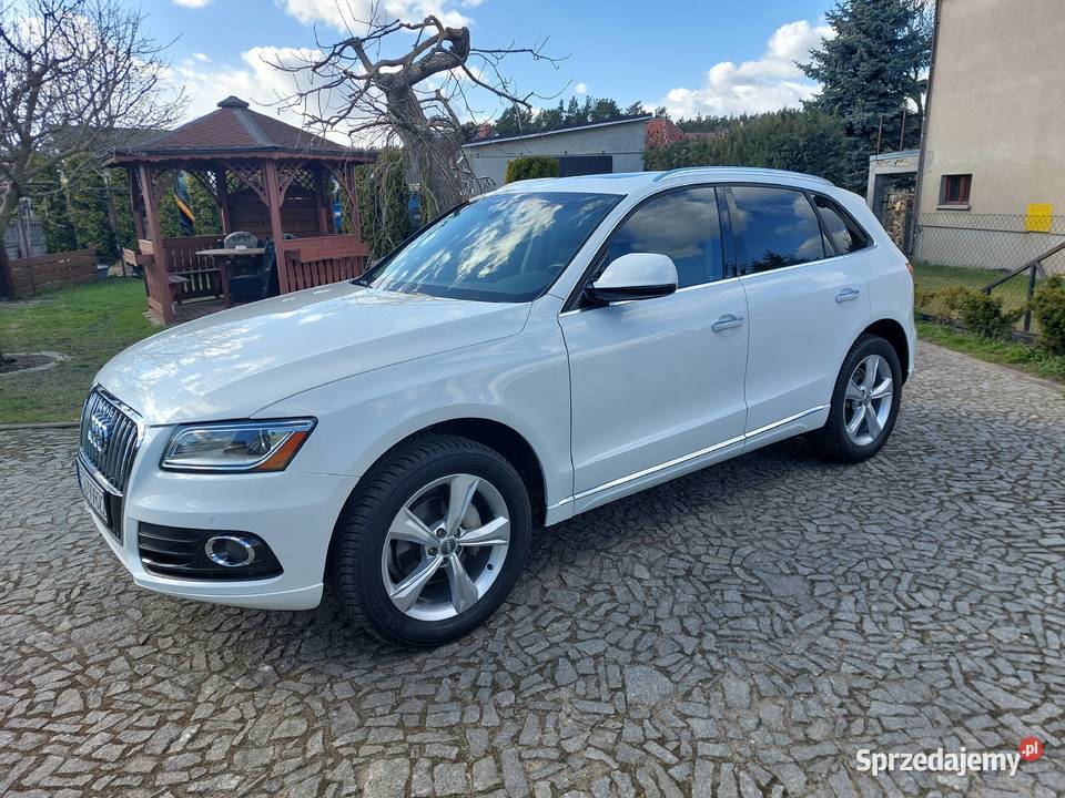 Audi Q5 20 TFSI Quattro skórzana tapicerka lubuskie Drezdenko