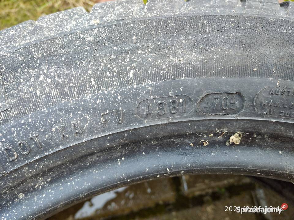 dwie opony Pirelli 1955515 lato 195 Kłodzko sprzedam