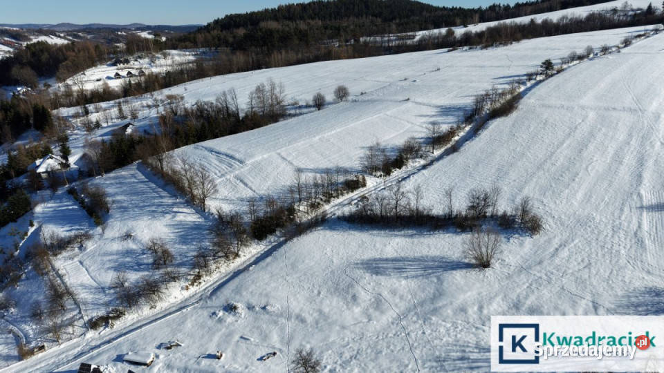 Grunt 1583 metry Górzanka rekreacyjna