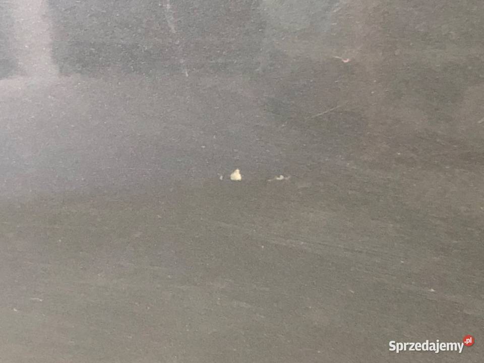 DRZWI PRAWY TYŁ SEAT LEON II Hatchback 0513