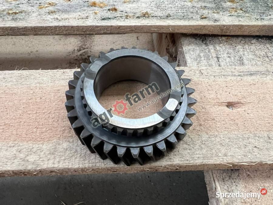 Koło zębate Z31 Case Farmall 105 Luxxum 100 Byków