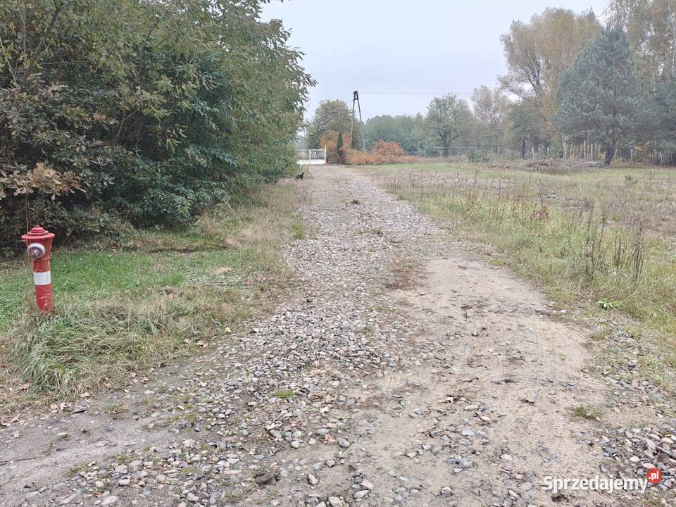 Syndyk sprzeda Karolew 34425m2