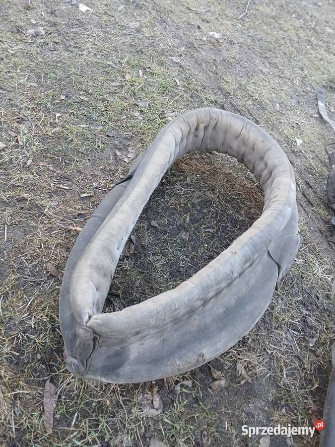 Homento Uzda Konna owijki Kaganiec Oryginalne z Dla koni świętokrzyskie Moszyny