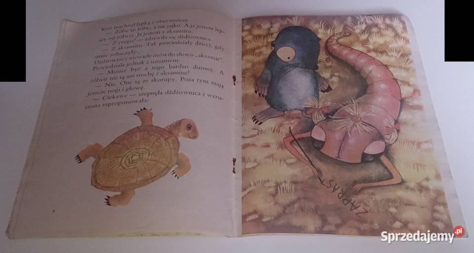 Dorota Gellner Witaj Dżdżownico Książka Książki dla dzieci Czeladź sprzedam