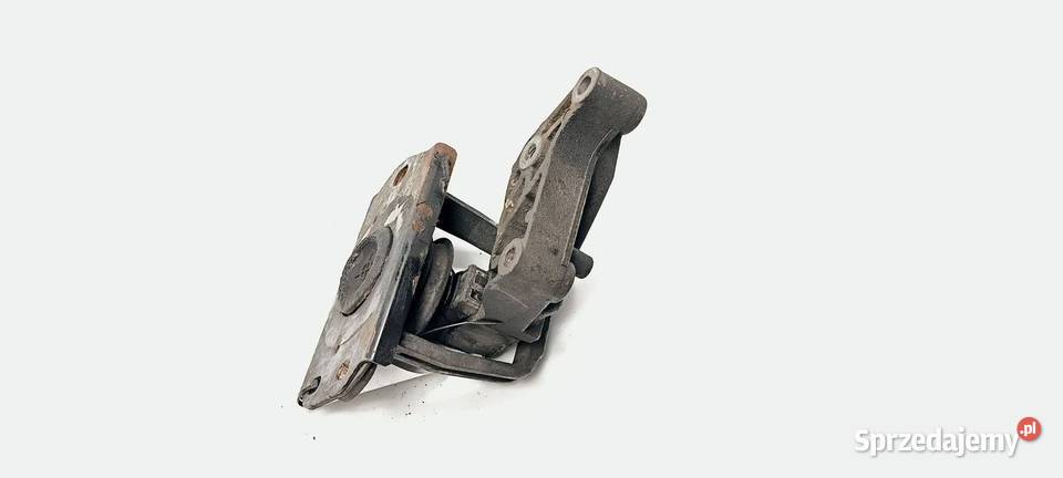 MOCOWANIE SILNIKA RENAULT TRAFIC II Lipno