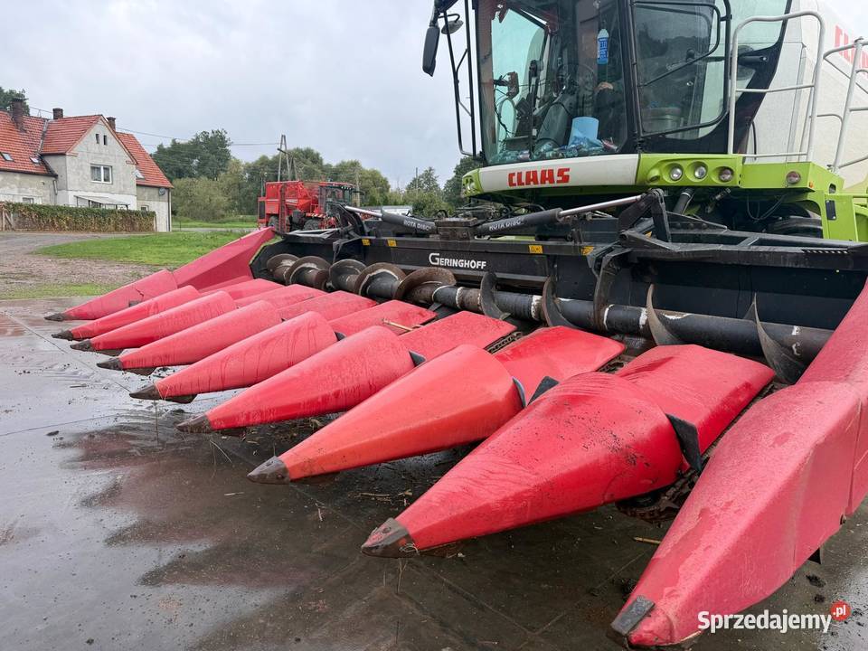 Heder do Kukurydzy Geringhoff RotaDysc 8 Do kombajnów Nowa Ruda