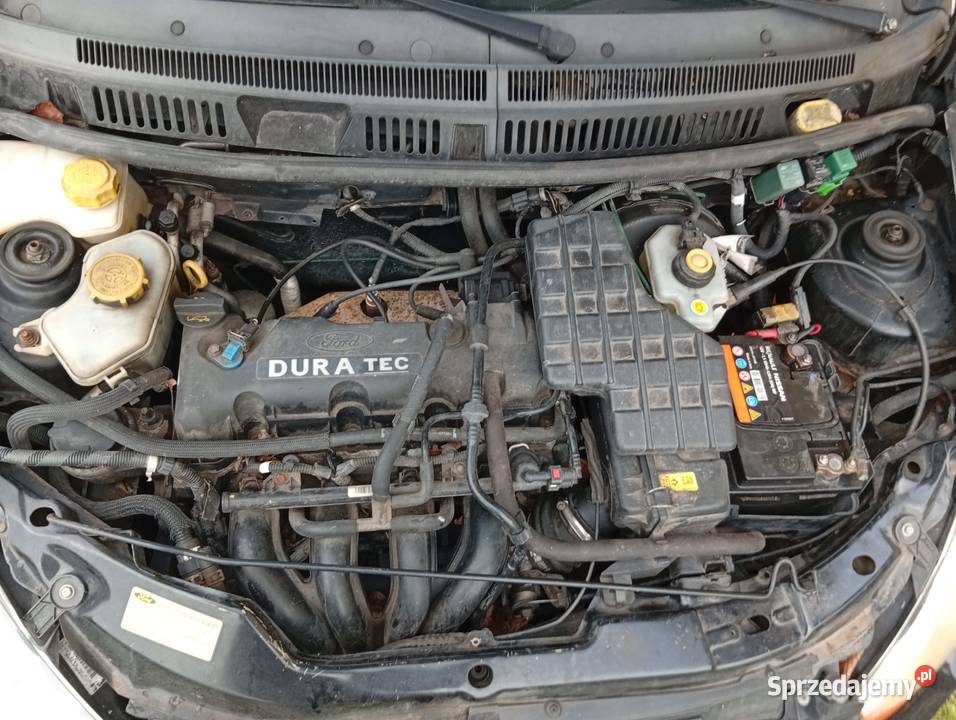 Ford Streetka 16Cabrio Grabów nad Prosną