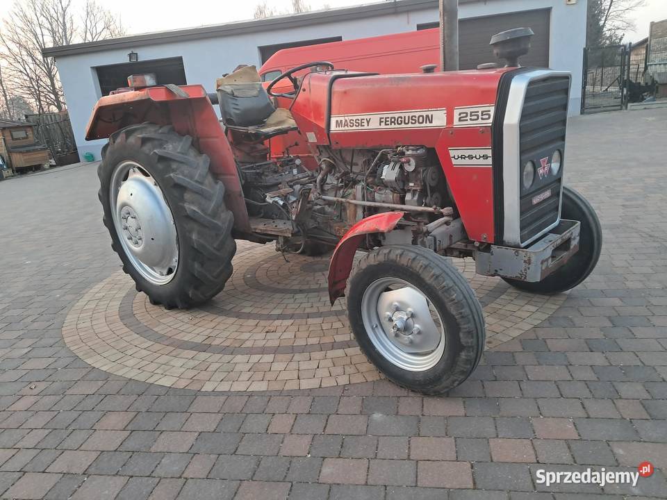 mf 255 w orginale 1986 Ciągniki łódzkie Stryków