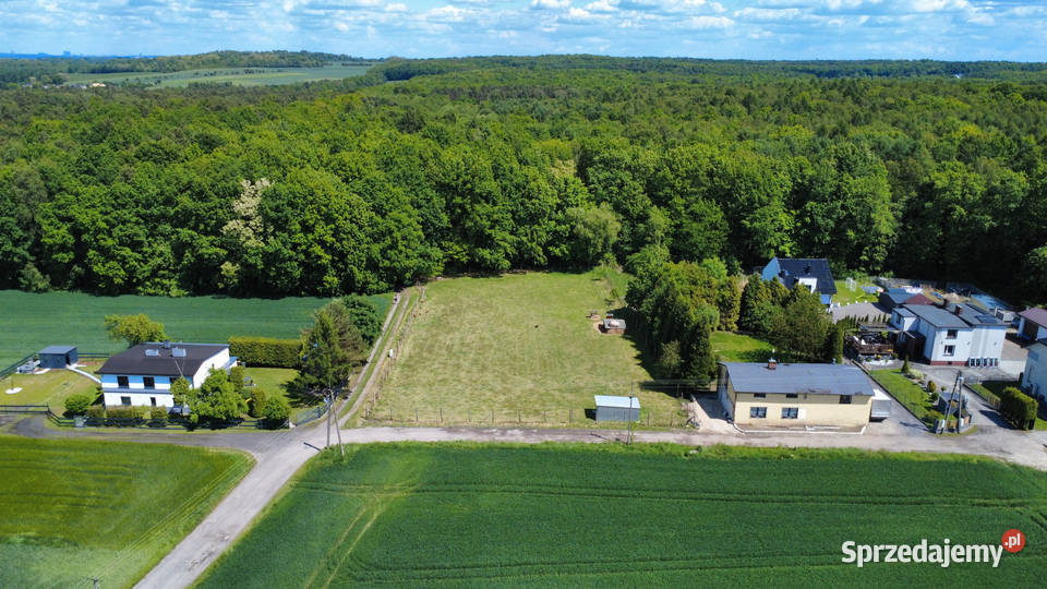 Działka na sprzedaż Mikołów Bujaków 1024 m