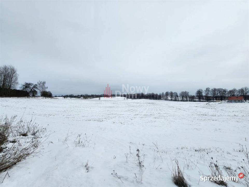 Grunt Pańska Wola 127723m2 7zł/m2