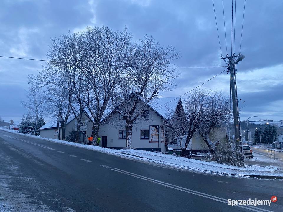 Wycinka drzew Przycinanie Zwyżka 20m Rębak Tarnów
