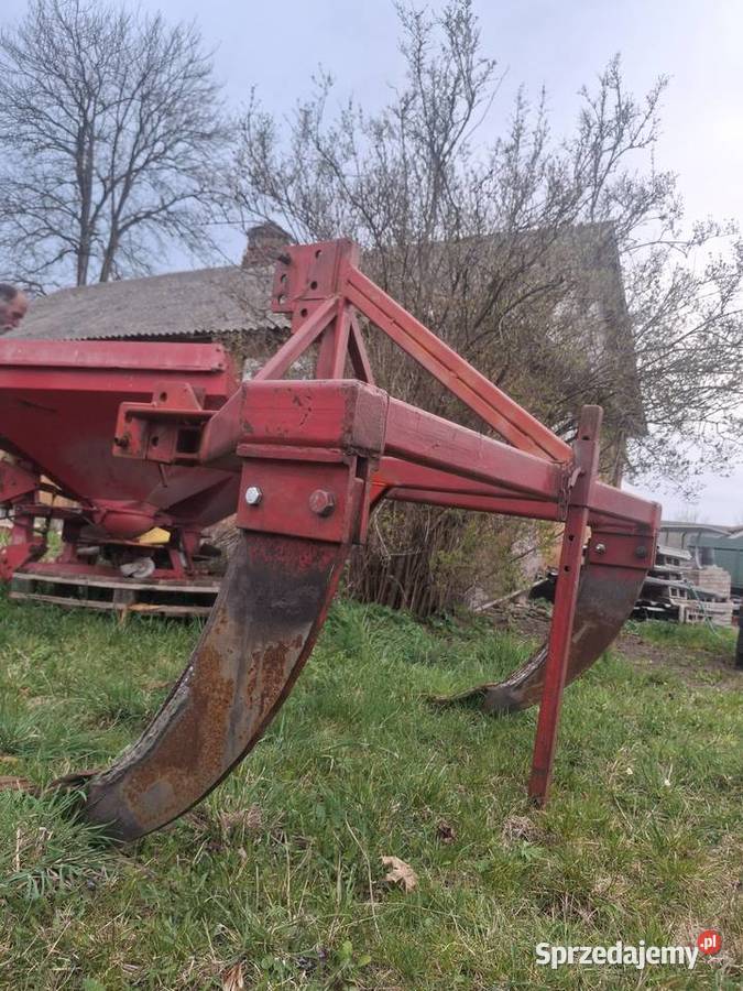 Głębosz Chłaniówek