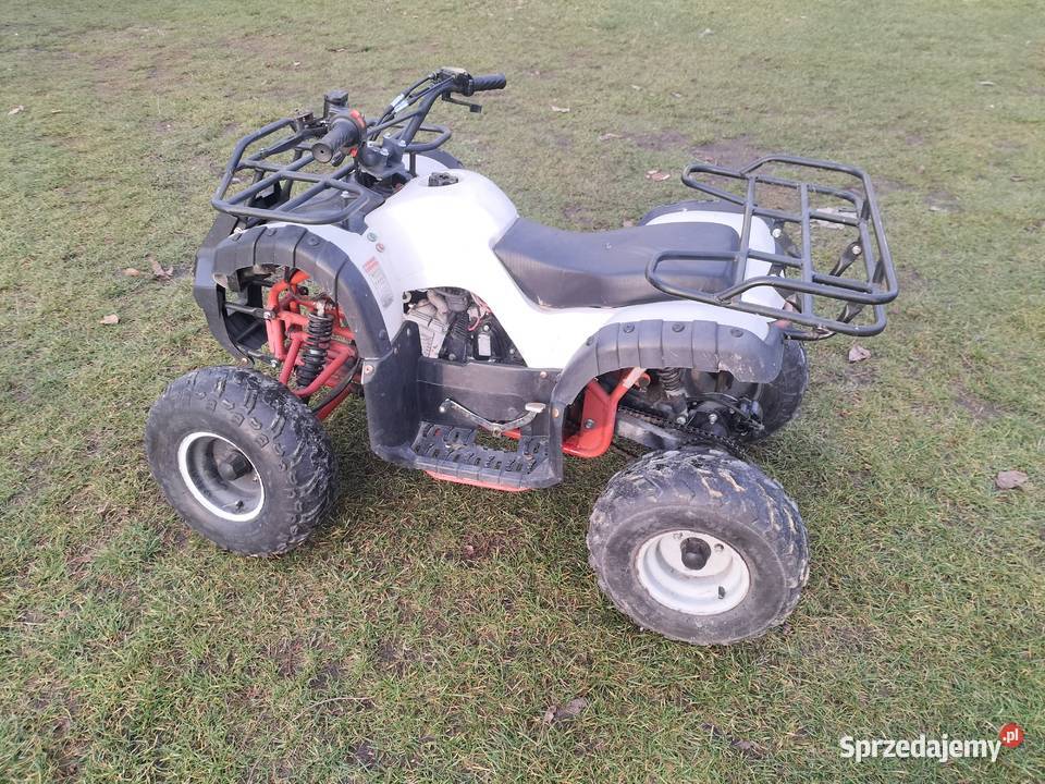 Mam do sprzedania guada Niwiska Górne