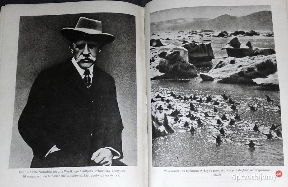 Fridtjof co z wyrośnie A Cz Centkiewiczowie Chełm