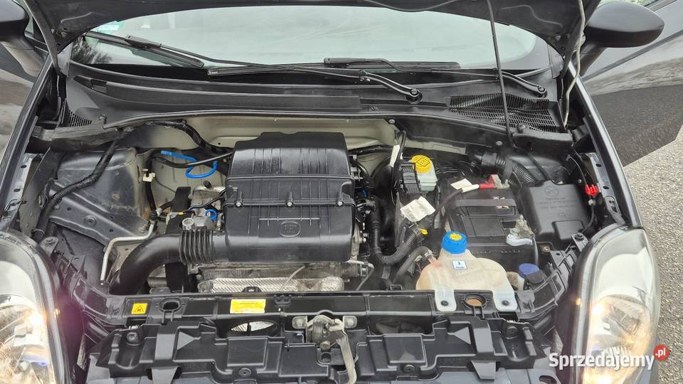 FIAT PUNTO 12B NOWY MODEL OPŁACONY Z NIEMIEC Końskie sprzedam