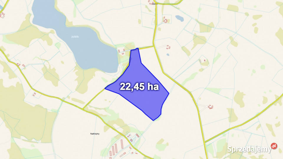 Działka z Warunkami Zabudowy 2245 ha Żabin gm 8zł/m2 warmińsko-mazurskie